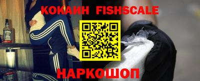 тгк Гай