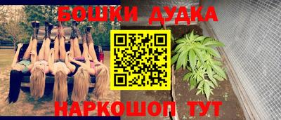 тгк Гай