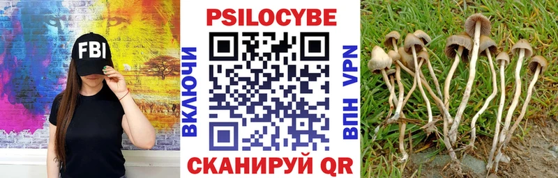 Галлюциногенные грибы Magic Shrooms  Мурманск 