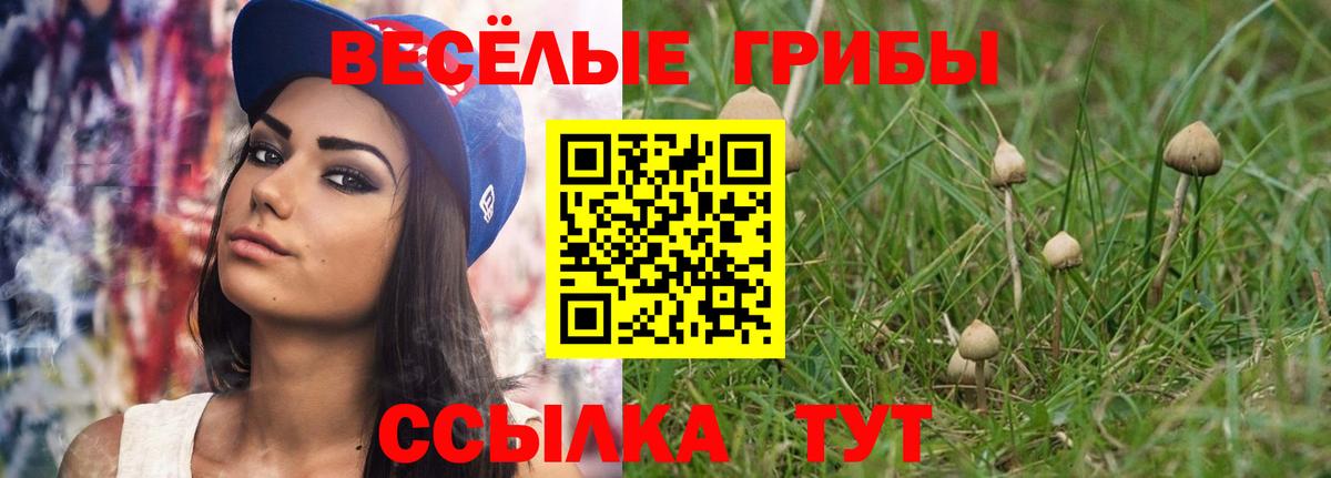 Мурманск  даркнет сайт  Вход с VPN  Галлюциногенные грибы Psilocybe  Галлюциногенные грибы мицелий 